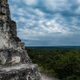 Illustration for article titled What Ancient Maya Forests Can Tell Us About Our Future